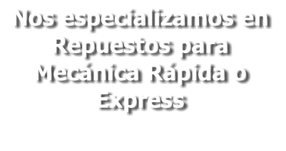 Nos especializamos en Repuestos para Mecánica Rápida o Express