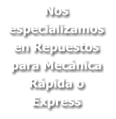 Nos especializamos en Repuestos para Mecánica Rápida o Express